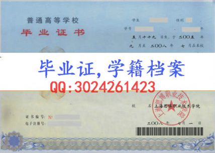 上海思博职业技术学院毕业证样本