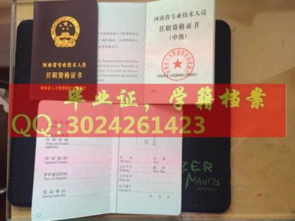 河南省新版中级资格证书职称证书