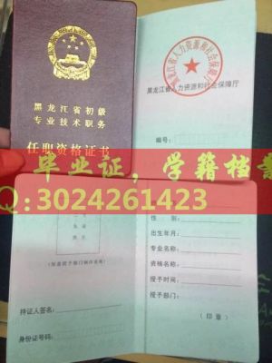 黑龙江省新版初级资格证书职称证书