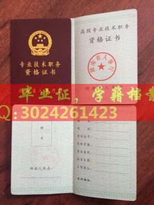 湖南省老版高级资格证书职称证书样本