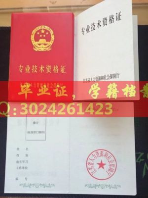 江苏省资新版1格证书职称证书样本