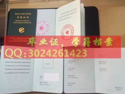 陕西省新版高级资格证书职称证书样本