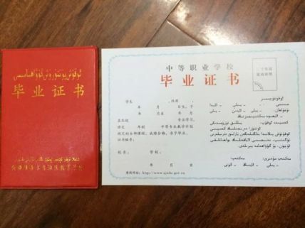 新疆化学工业学校中专毕业证样本